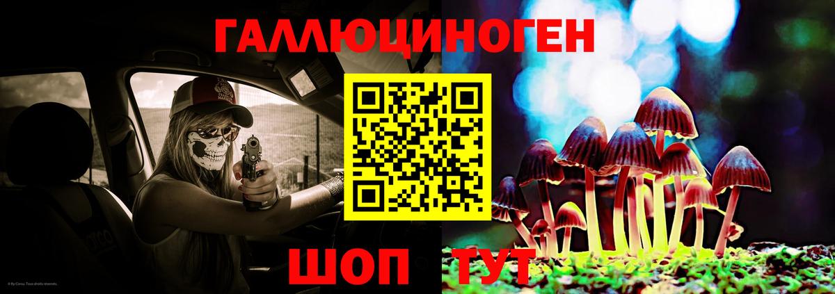 Галлюциногенные грибы Cubensis Волхов
